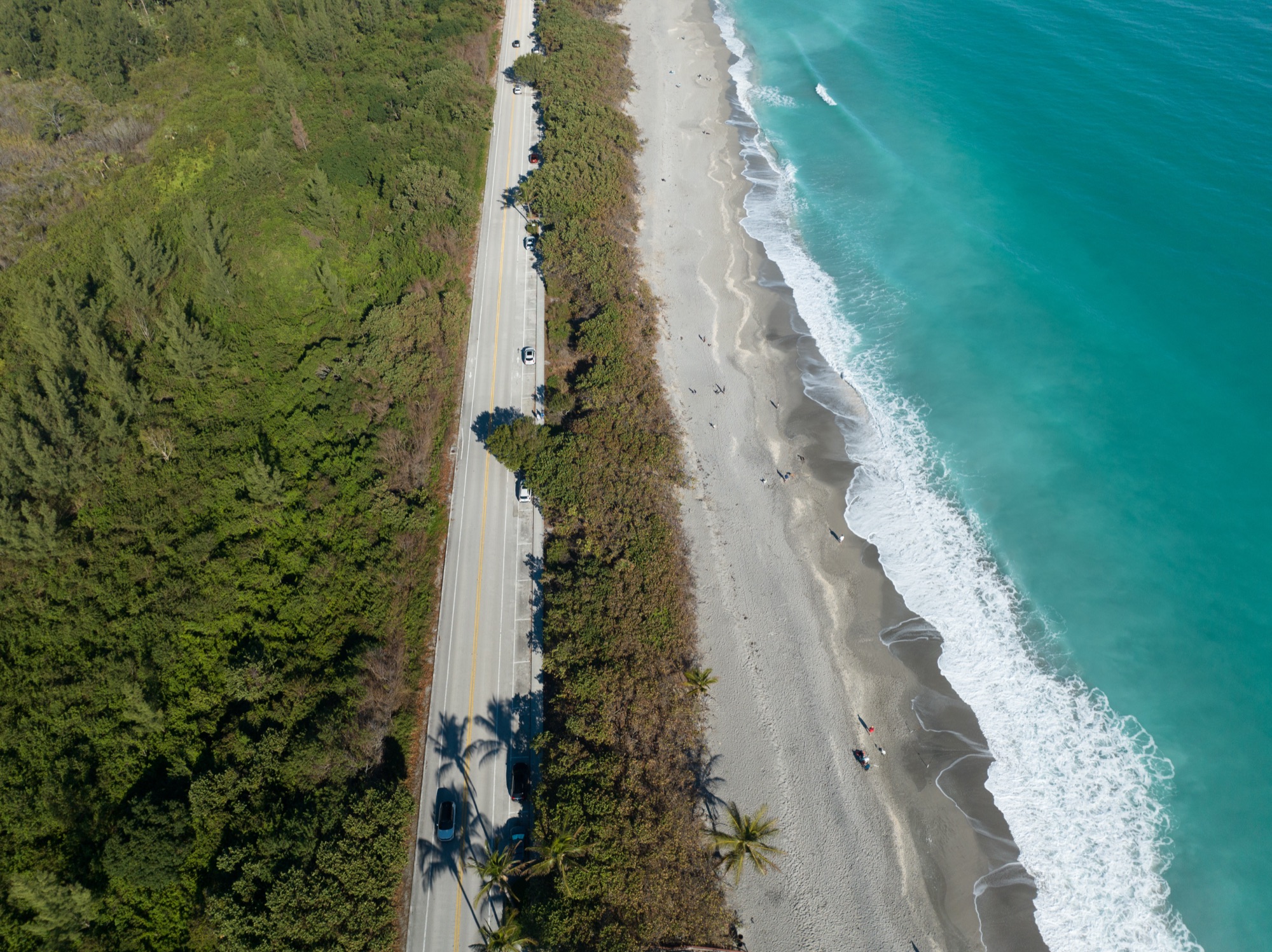 The beach road